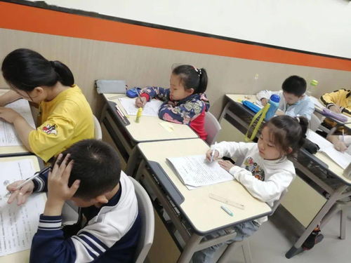 學科突破，精準提升 第四屆學科綜合能力診斷助力學子查缺補漏